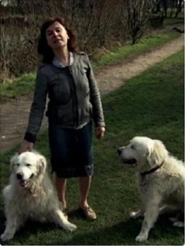 与狗<span style='color:red'>同行</span> BBC Wonderland 2012 Walking with Dogs