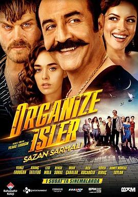 有组织的<span style='color:red'>工</span><span style='color:red'>作</span> Organize Isler: Sazan Sarmali
