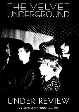 回顾地下丝绒 The Velvet Underground: Under Review