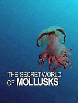 软体动物的秘密世界 Le monde merveilleux des mollusques