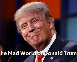 唐纳德·特朗普的疯狂世界 The Mad World of Donald <span style='color:red'>Trump</span>