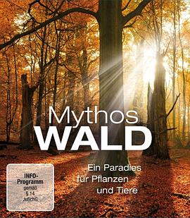 神话的森林 Mythos Wald
