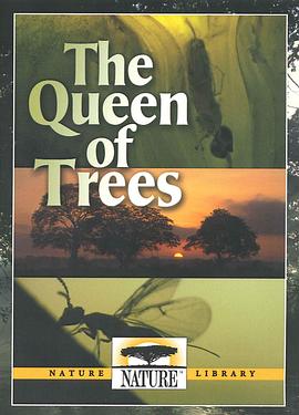 树之女皇 The Queen of Trees