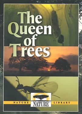 树之<span style='color:red'>女</span><span style='color:red'>皇</span> <span style='color:red'>The</span> Queen of Trees