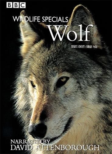 BBC Wild<span style='color:red'>life</span> Specials—Wolf