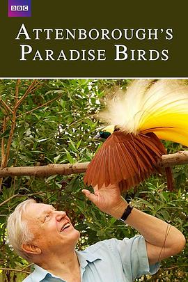爱登堡的极乐鸟世界 Attenborough's Paradise Birds
