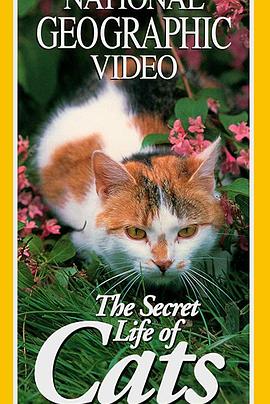国家地理：猫咪的秘密日记 The Secret Life Of Cats