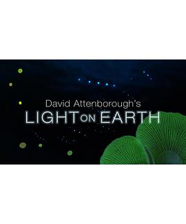 发光生物 Light on Earth