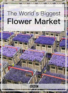 <span style='color:red'>世界</span>上最大的鲜花市场 The World's Biggest Flower Market
