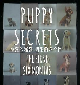 小汪的秘密：初生的六<span style='color:red'>个月</span> Puppy Secrets: The First Six Months