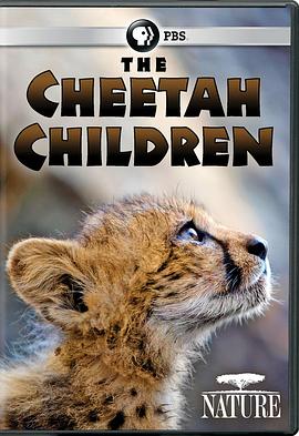 猎豹宝宝 The Cheetah Children