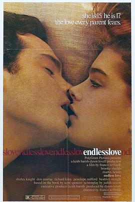 无尽的爱 Endless Love