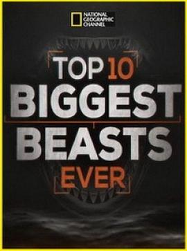 十大巨兽排行榜 Top 10 Biggest Beasts Ever