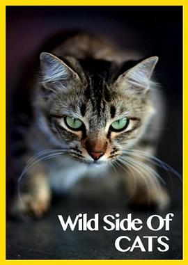 猫咪的狂野一面 Wild Side of Cats