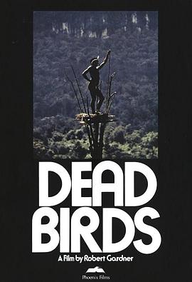 死鸟 Dead Birds