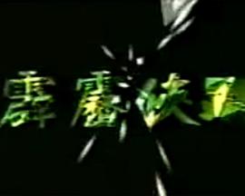 霹雳侠踪