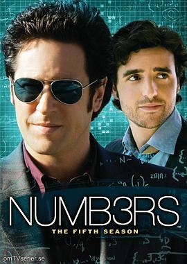 数字追凶 第一季 Numb3rs Season 1