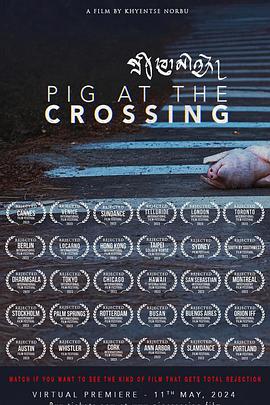 十字路口的猪 Pig at the Crossing