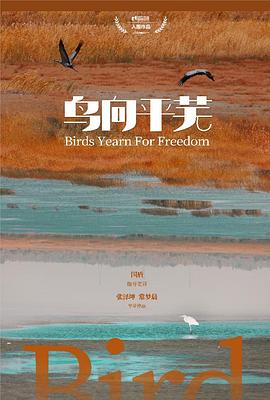 鸟向平芜