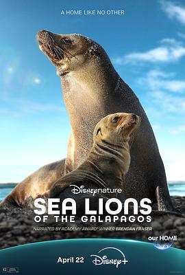 海狮利奥环岛记 Sea Lions of the Galápagos