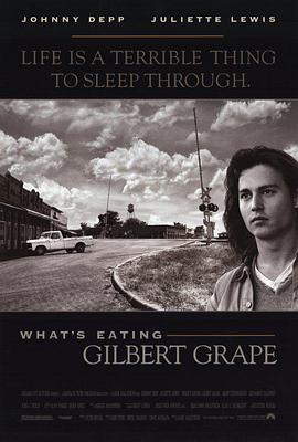 <span style='color:red'>不一样</span>的天空 What's Eating Gilbert Grape