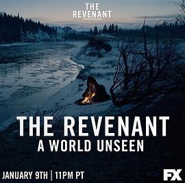 一个看不见的世界：荒野猎人 A World Unseen: The Revenant