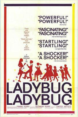 瓢虫 瓢虫 Ladybug Ladybug