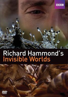 <span style='color:red'>理查德</span>·哈蒙德：看不见的世界 Richard Hammond's Invisible Worlds