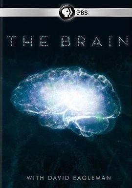 深入大脑 The Brain with David Eagleman