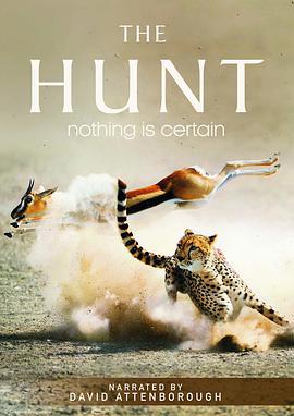 <span style='color:red'>猎捕</span> The Hunt
