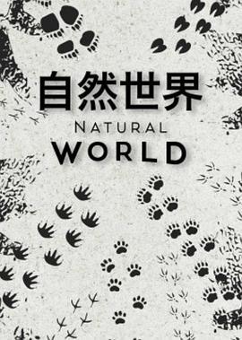 <span style='color:red'>自</span><span style='color:red'>然</span>世<span style='color:red'>界</span> 第一季 Natural World Season 1