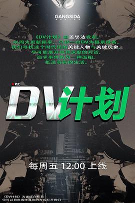 DV<span style='color:red'>计</span>划
