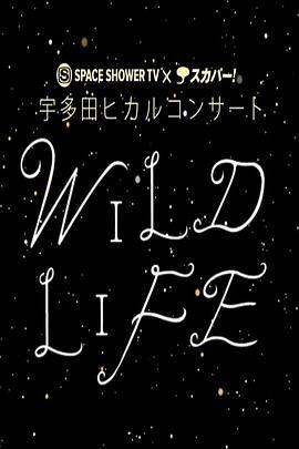宇多田光 2010暂别歌坛<span style='color:red'>演唱会</span> Hikaru Utada WILD LIFE 2010