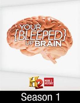 短路的大脑 第一季 your bleeped up brain Season 1