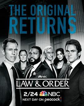 法律与秩序 第二十一季 Law & Order Season <span style='color:red'>21</span>
