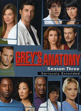 <span style='color:red'>实习</span>医生格蕾 第三季 Grey's Anatomy Season 3