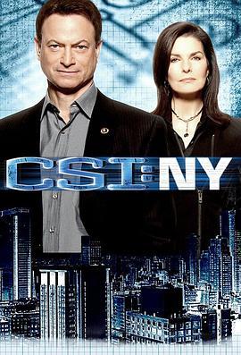 犯罪现场<span style='color:red'>调查</span>：纽约 第七季 CSI: NY Season 7