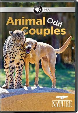 奇特的动物<span style='color:red'>伙伴</span> Animal Odd Couples