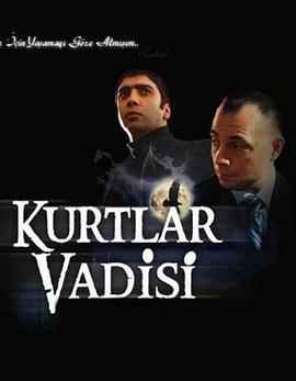 土耳其恶狼谷 第二季 Kurtlar Vadisi 2. Sezon
