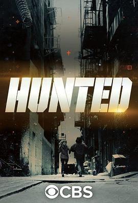 潜行追踪(美版) 第一季 Hunted Season 1