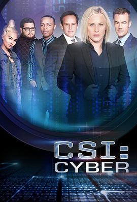网络犯罪<span style='color:red'>调</span><span style='color:red'>查</span> 第二季 CSI: Cyber Season 2