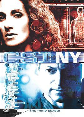 犯罪现场<span style='color:red'>调查</span>：纽约 第三季 CSI: NY Season 3