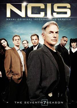 海军罪案调查处 第七季 NCIS: Naval Criminal Investigative <span style='color:red'>Service</span> Season 7