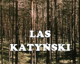 卡<span style='color:red'>廷</span>森林 Las Katyński