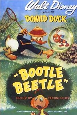 金龟子 Bootle Beetle