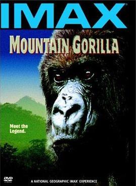 山地大猩猩 Mountain Gorilla