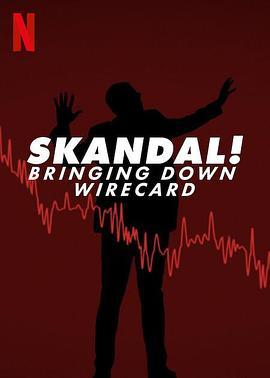 金融丑闻：揭发Wirecard诈骗案 Skandal! Bringing Down Wirecard