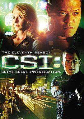 犯罪现场调查 第十一季 CSI: Crime Scene Investigation Season 11