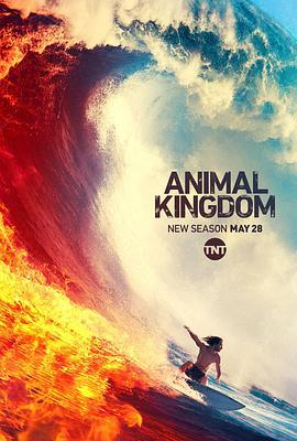 野兽家族 第<span style='color:red'>四季</span> Animal Kingdom Season 4