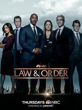 <span style='color:red'>法律</span>与秩序 第二十二季 Law & Order Season 22